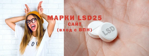 стаф Абинск